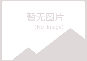 五大连池山柏公益组织有限公司